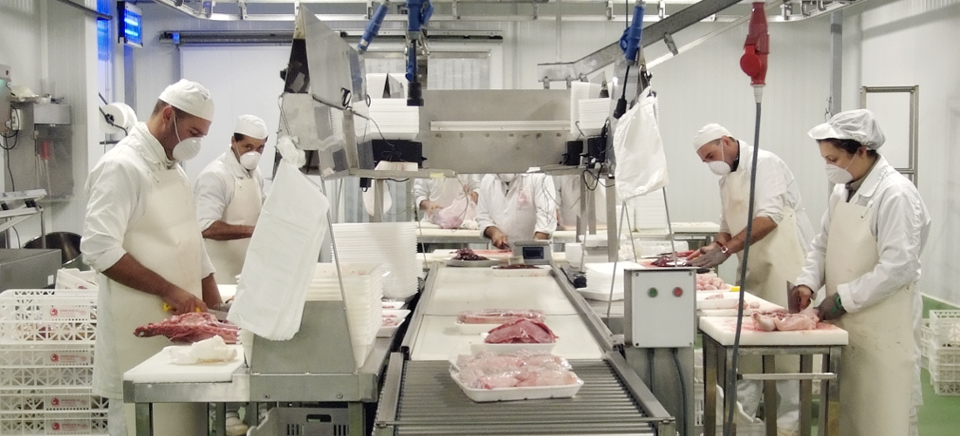 Disricaem empresa cárnica