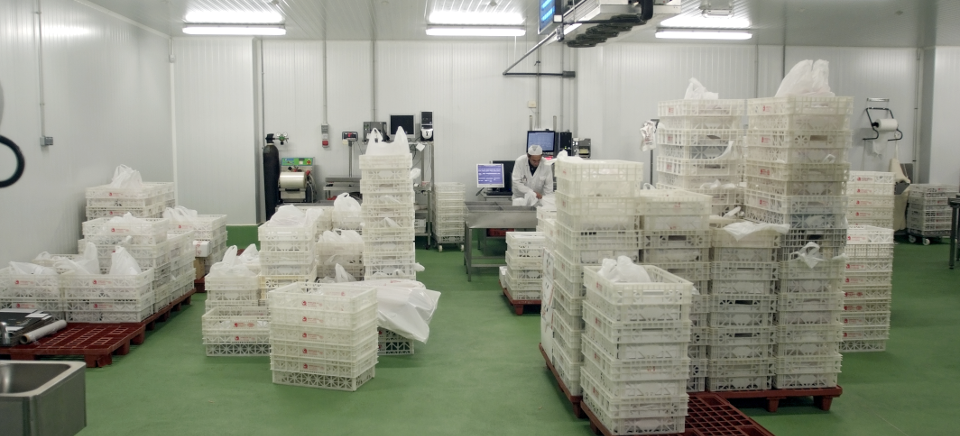 Disricaem empresa cárnica